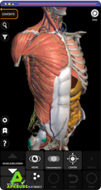 تنزيل Anatomy 3D Atlas مهكر 2026